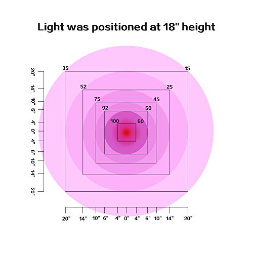 4 Lomini+Aquarium+Saltwater+Freshwater+Planted