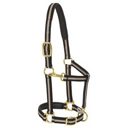 Top 10 Best Draft Horse Harnesses Top Reviews No Place Called Home
