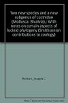 Two new species and a new subgenus of Lucinidae (Mollusca: Bivalvia),: With notes on certain aspects of lucinid phylogeny (Smithsonian contributions to zoology)