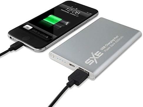 SXE 4000mAh Metal Light Weight Portable Power Bank - Silver