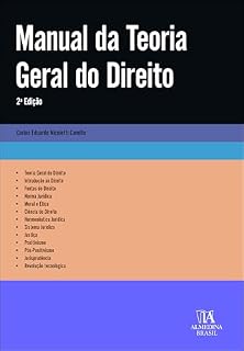 Livro Manual da teoria geral do direito (Manuais Universitários Livro 1)
