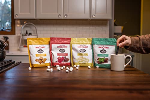 LAND O LAKES COCOA CLASSICS S’MORES COCOA MIX POUCH, 14.8 OUNCE (PACK OF 1)