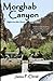 Morghab Canyon (Afghanistan War Series) by James Christ
