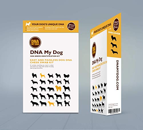Dna My Dog Breed ID Test - Image 4