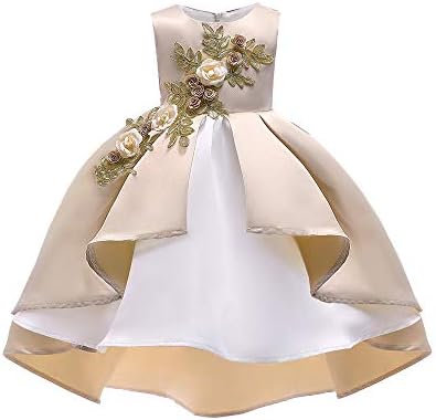 Bridesmaid Pageant Gown for Baby Girl Birthday Party Wedding Dress, Toddler Princess Skirt, Kids Floral Lace Dress