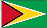 BigTree Guyana Flag 3x5ft 90x150cm Polyester Large Grommets Indoor Outdoor view 9