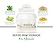 RETRO MINT POMADE Styling Clay Hair Care Aid infused w/Essential Oils and for excellent hold, shine and control