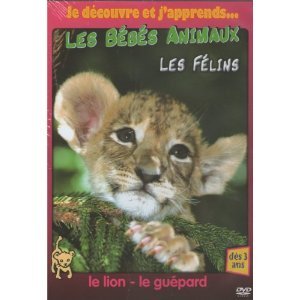 Les Bebes Animaux - Les Felins