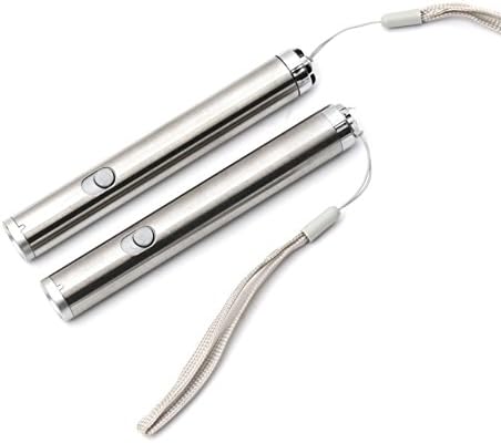 Cat Chase 2 Pack Laser Pointers: Interactive Cat Exercise Toy With LED Light By Amazing Vendors (4.6 x 0.6 x 0.6 Inches, Silver)