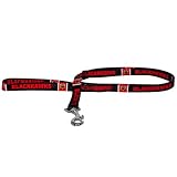NHL Chicago Blackhawks Pet Lead, Team Color, Medium