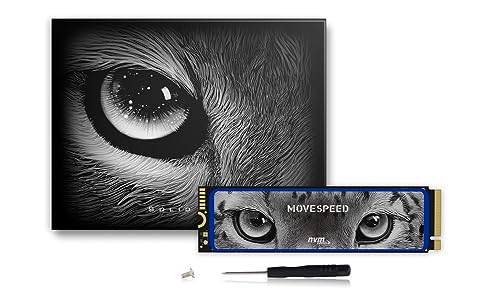 MOVE SPEED XB5000 2TB SSD for PS5 with Heatsink, PCIe 4.0 NVMe M.2 Internal Solid State Drive - Up to 5000MB/s, 3D NAND Storage Expansion Hard Drive Compatible with PS5, Desktops and Laptops