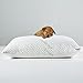 Yuking Home Bed Pillows for Sleeping Neck Pain Relief, Adjustable Loft Microfiber & Latex Pillow for Side Back Stomach Sleeper with Hypoallergenic Removable Bamboo Case (Microfiber & Latex, Queen)
