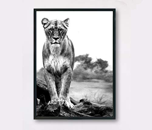 Les Connie Lioness Print Black and White Home Decor Poster Wall Art Poster Animal Print Lion Poster Lion Photo