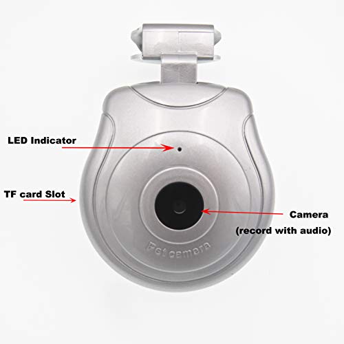 1 Digital+Collar+Recorder+Monitor+Silver+32GB