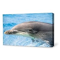 Canvas Wall Art Lovely Dolphin Canvas Prints Home Artwork Decoration for Living Room,Bedroom - 12x18 inches