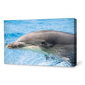 signwin Canvas Wall Art Lovely Dolphin Canvas Prints...