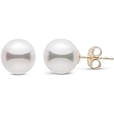 18K Yellow Gold Japanese Akoya Cultured Pearl Stud Earrings 8-8.5mm AAA Quality – Classic White Pearl Earrings for Women