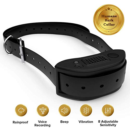 SUPERIORBILT TUNGSTEN CARBIDE ROD- TILE SAW 6