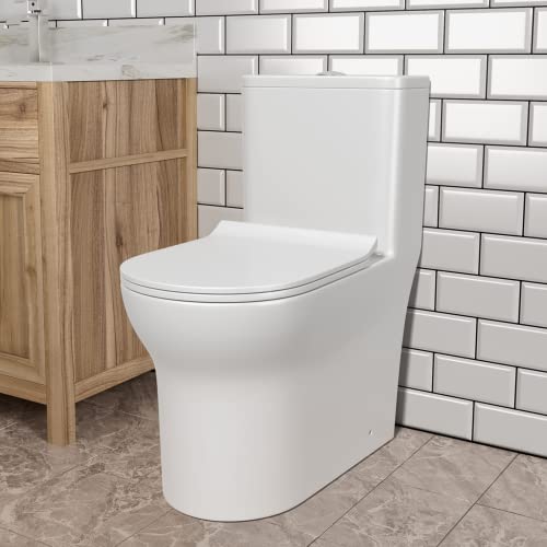 GIVINGTREE Dual Flush Elongated Standard One Piece Toilet with