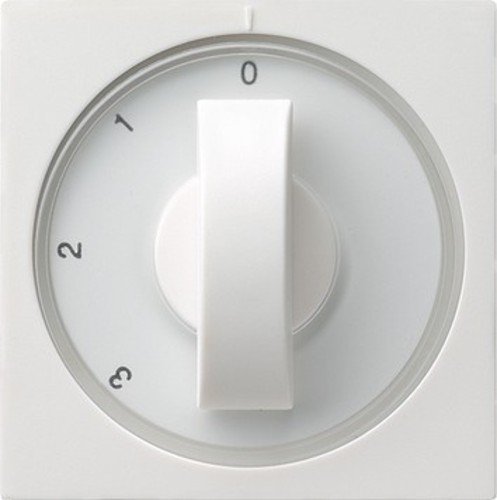 Gira Zentralplatte rws-gl 066903