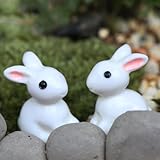 CaandShop(TM) 2X Miniature Rabbit Figurine Fairy
