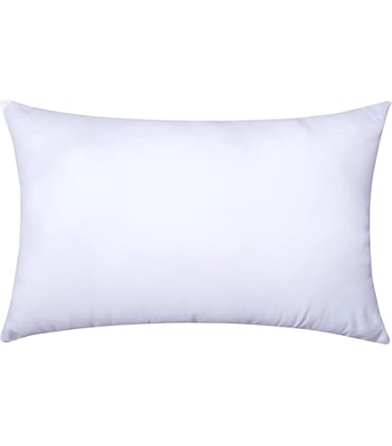 Amazon.com: Acanva Premium Throw Pillow Inserts with Microfiber