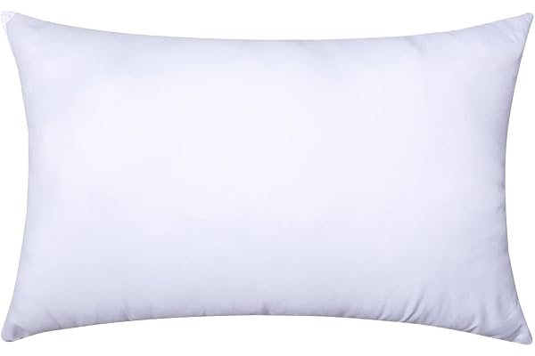 MIULEE Throw Pillow Insert Hypoallergenic Premium Pillow Stuffer Sham Rectangle for Decorative Cushion Bed Couch Sofa 12x20 I