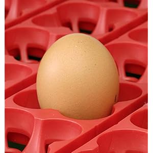 Incubatrice Per Uova Automatica Digitale Con Girauova, Capacità 49 Uova Di Gallina, Anatra, Oca, Tacchino, 196 Uova Di… - immagine 8