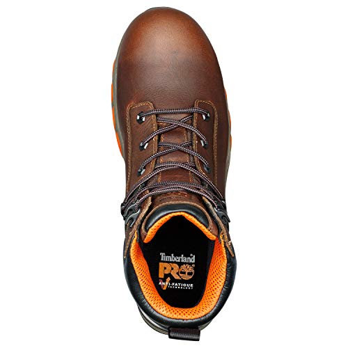 gnc timberland