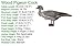 Wood Pigeon Decoy -  6-Pack Foldable Wood Pigeon for Hunting -  Land and Water Use -  Waterproof, Shot-Proof -  Realistic UV Certified Decoy Paints -  Includes Anchors, Anchor String and Fudslinger