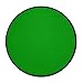 Graftobian Makeup ProPaint Face & Body Paint - Mantis Green 30ml - Halloween Makeup - Costume Makeup for Adults - Body Paints for Adults - Face Paint Makeup - Skin Paint - Makeup Paint