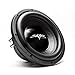 Skar Audio Dual 10