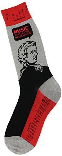 Foot Traffic, Men's Education-Themed Socks, Mozart (Shoe Sizes 7-12)