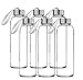 Seacoast - 18 OZ. Glass Bottles, 18/10 Stainless Steel Cap with Easy to Carry Loop (6 Pack, 4 Pack, 2 Pack Available) (6)