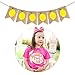 Cieovo Jute Burlap Lemonade and Lemon Banner Summer Lemon Theme Baby Shower Gender Reveal Birthday Party Mantel Fireplace TV Stand Decoration