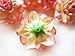 (100) Silk Cream Pink Edge Roses Flower Head - 1.75
