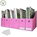Evelots Magazine File Holder-Organizer-Full 4 Inch Wide-Pink-With Labels-Set/6