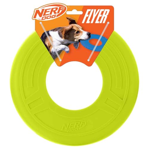 Nerf Dog Atomic Flyer