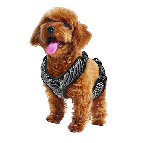 padded dog harness