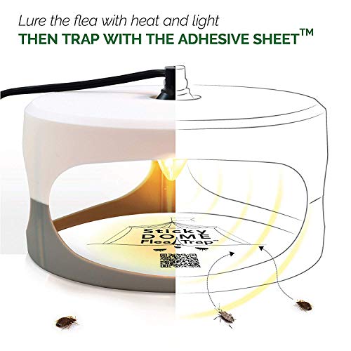 GardenHOME HR231 ASPECTEK Favored-Trapest Sticky Dome Bed Bug 2 Glue Discs.Odorless Non, White