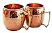 Hammered Copper Moscow Mule Mug Handmade of 100% Pure Copper, Brass Handle Hammered Moscow Mule Mug / Cup 16 Ounce,set Of-2, by CGP
