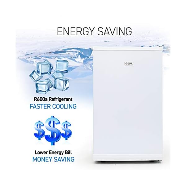 Commercial Cool Upright Freezer, Stand Up Freezer 2.8 Cu Ft with