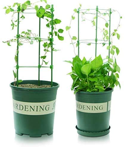 Adjustable 3 Pack Garden Plant Cage Support,Tomato Growing Cage,Garden Plant Tomato Cage,for Vertical Climbing Plants Support Climbing Vegtables&Flowers&Fruit Grow Cage (3pack-24" 60cm)