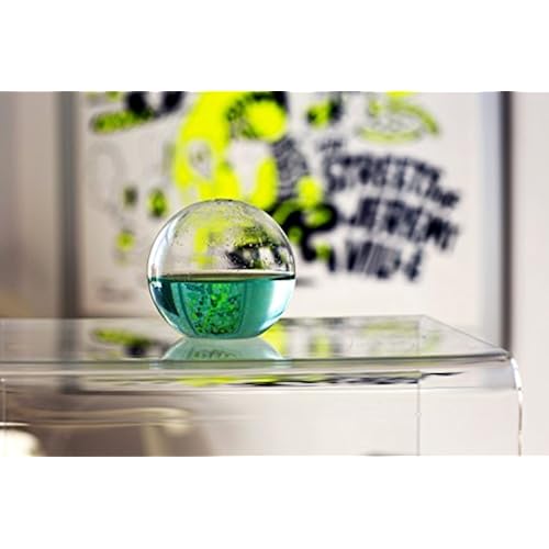 BioPop Dino Sphere collection of cool unique weird amazon gift items