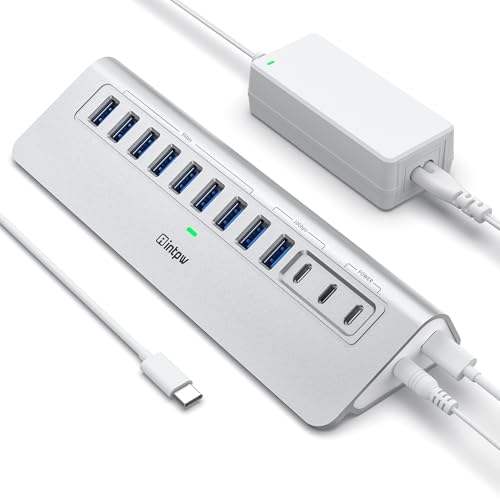 intpw 12 Port USB C Hub 10Gbps