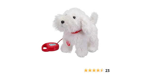 kid connection walking dog