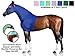 Derby Originals Lycra Stretch Horse Hoods with Zipper - Multiple Colors and Sizes (Large, Caribbean Blue)