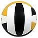 Baden Perfection Premium Leather Indoor Official Game Volleyball 13U to College Official Size + Weight NFHS + AVCA Approved