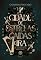 Livro Cidade de estrelas caídas e ira