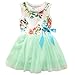 Niyage Little Girls Sleeveless Floral Princess Dress Tulle Tutu Sundress 4T Green